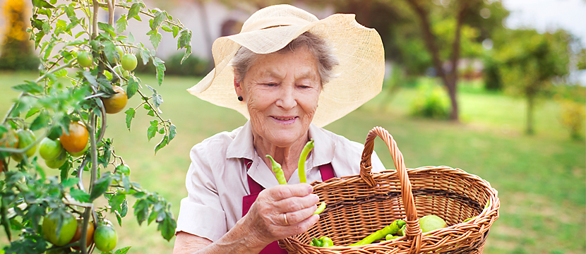 An elderly woman smiling and wearing a wide-brimmed hat while she holds a basket of freshly picked peppers and tomatoes from her garden