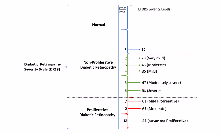 Image for Article by Raj C Defining a Cataract Surgery Protocol in Diabetic Patients A Pilot Study