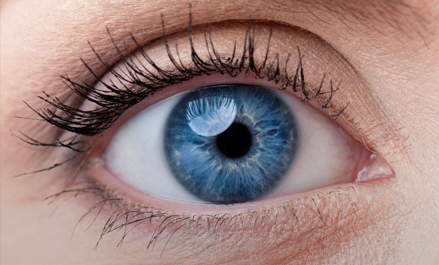 Close-up of blue coloured eye