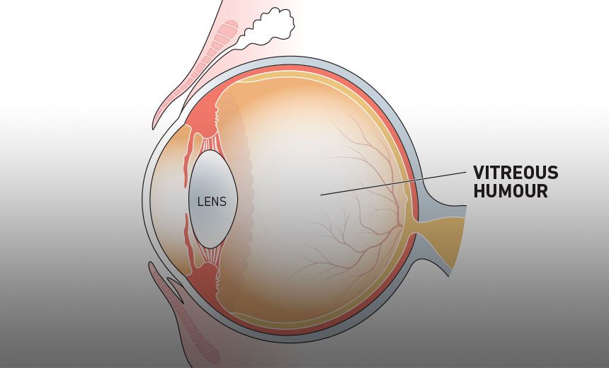 Anatomy For Icd 10 The Eye And Ocular Adnexa Ppt Download